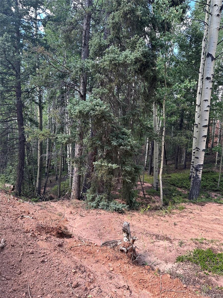 1301 Calcite Drive, Divide, CO 80814, ,Land,For Sale,Calcite,REC5777144