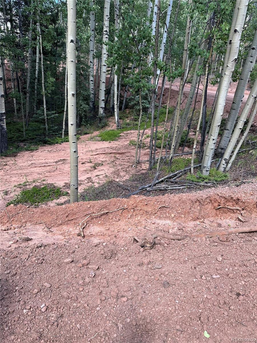 1301 Calcite Drive, Divide, CO 80814, ,Land,For Sale,Calcite,REC5777144