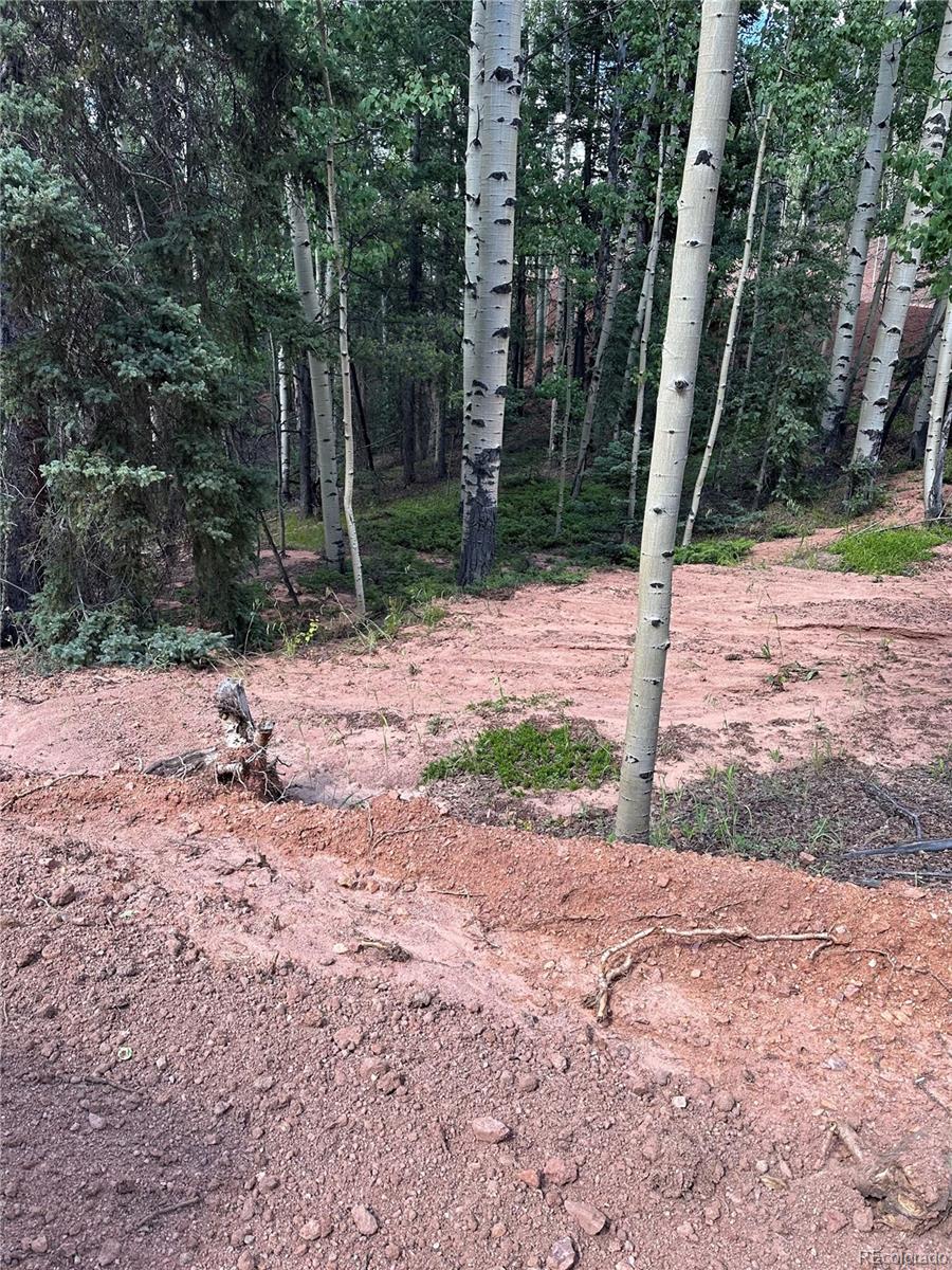 1301 Calcite Drive, Divide, CO 80814, ,Land,For Sale,Calcite,REC5777144