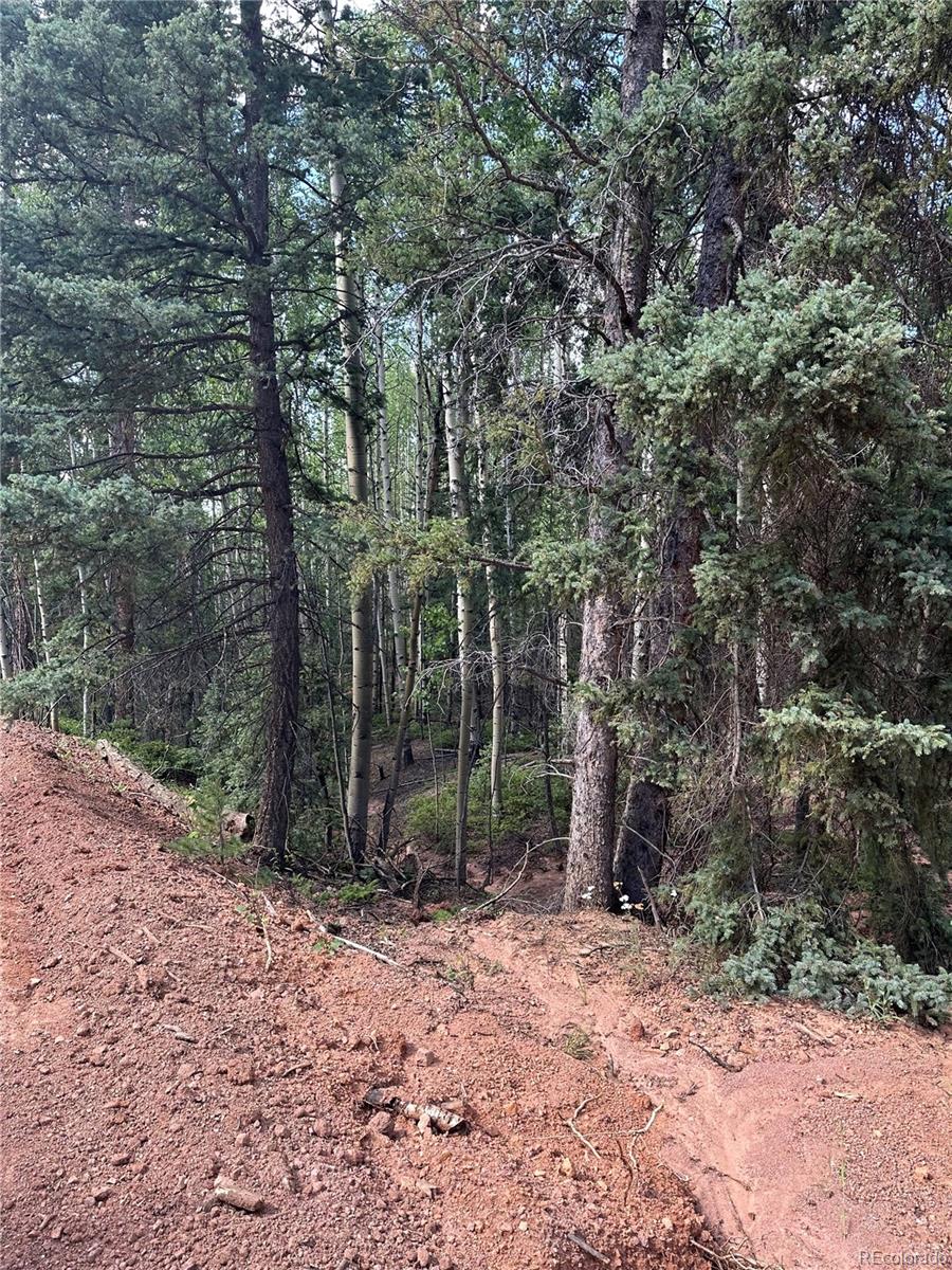 1301 Calcite Drive, Divide, CO 80814, ,Land,For Sale,Calcite,REC5777144