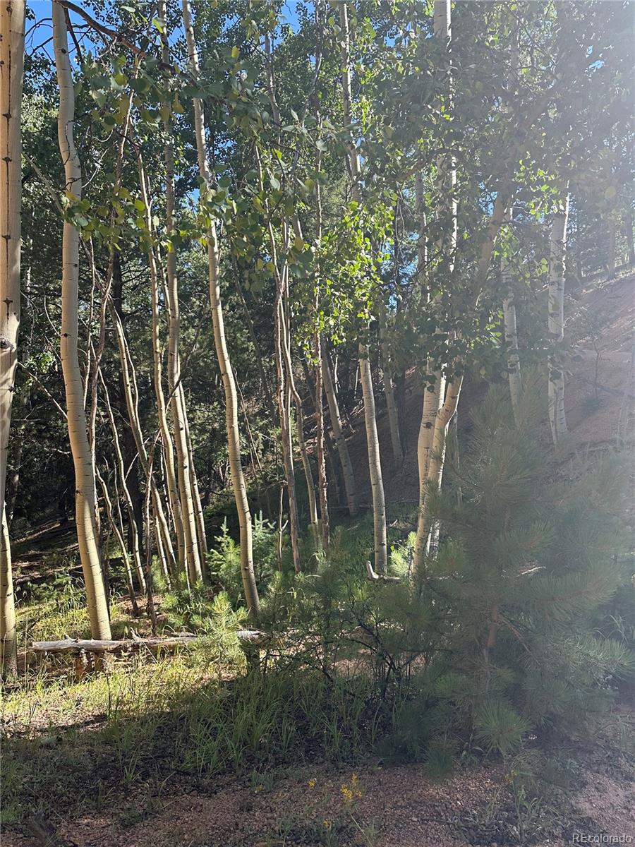 L8 Horseshoe Drive, Divide, CO 80814, ,Land,For Sale,Horseshoe,REC6667752