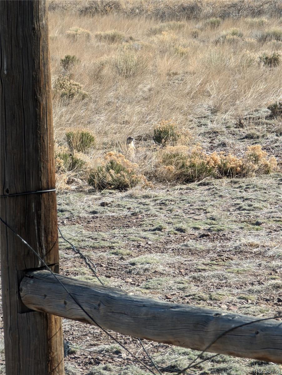 45626 County Road T, Saguache, CO 81149, ,Land,For Sale,County Road T,REC1876655