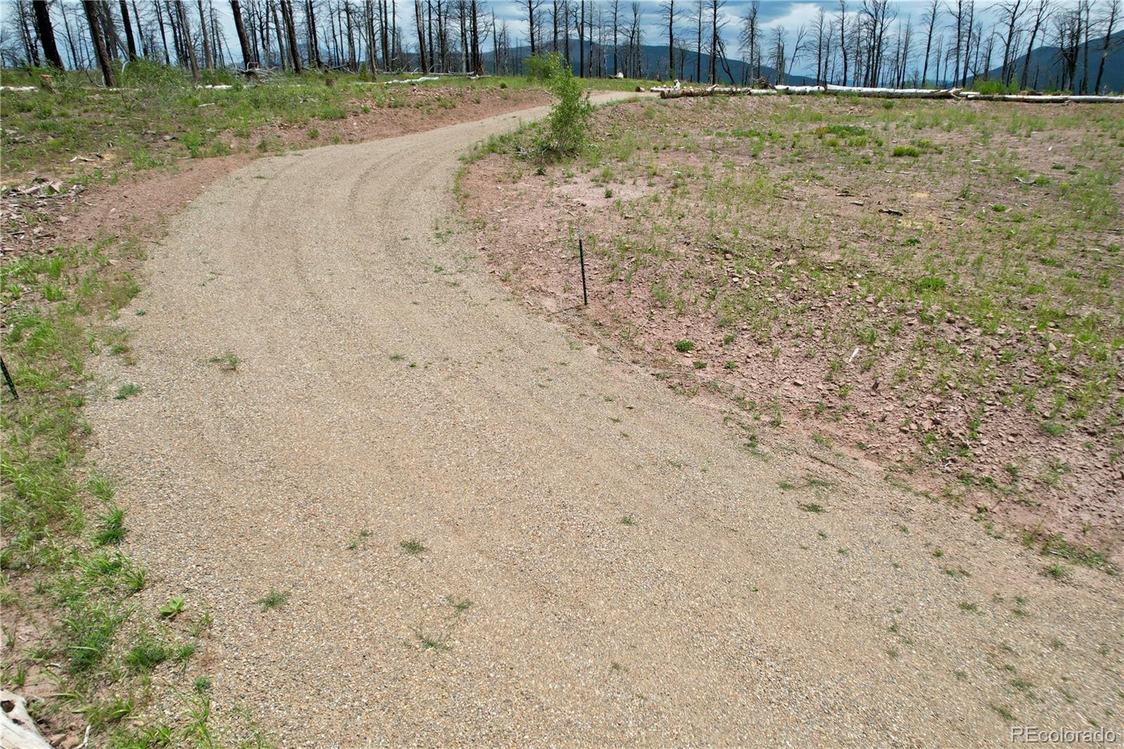 2198 Sigler Drive, Fort Garland, CO 81133, ,Land,For Sale,Sigler,REC8174736