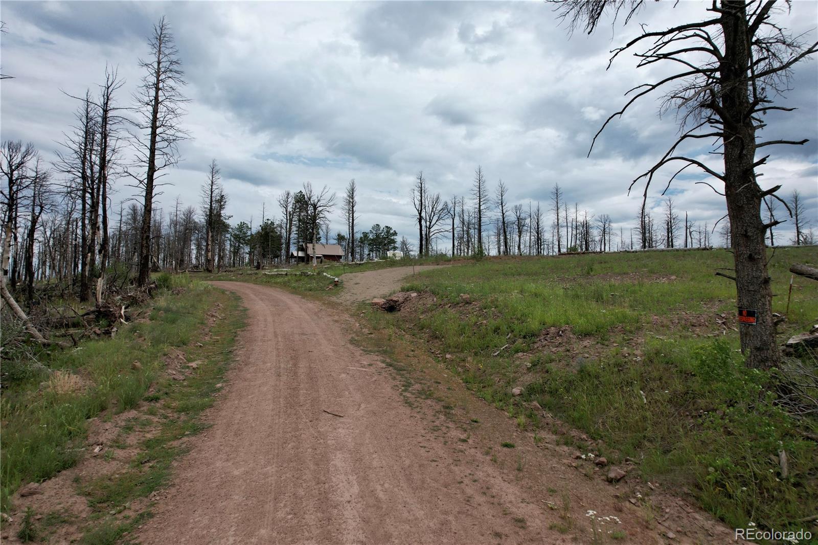 2198 Sigler Drive, Fort Garland, CO 81133, ,Land,For Sale,Sigler,REC8174736