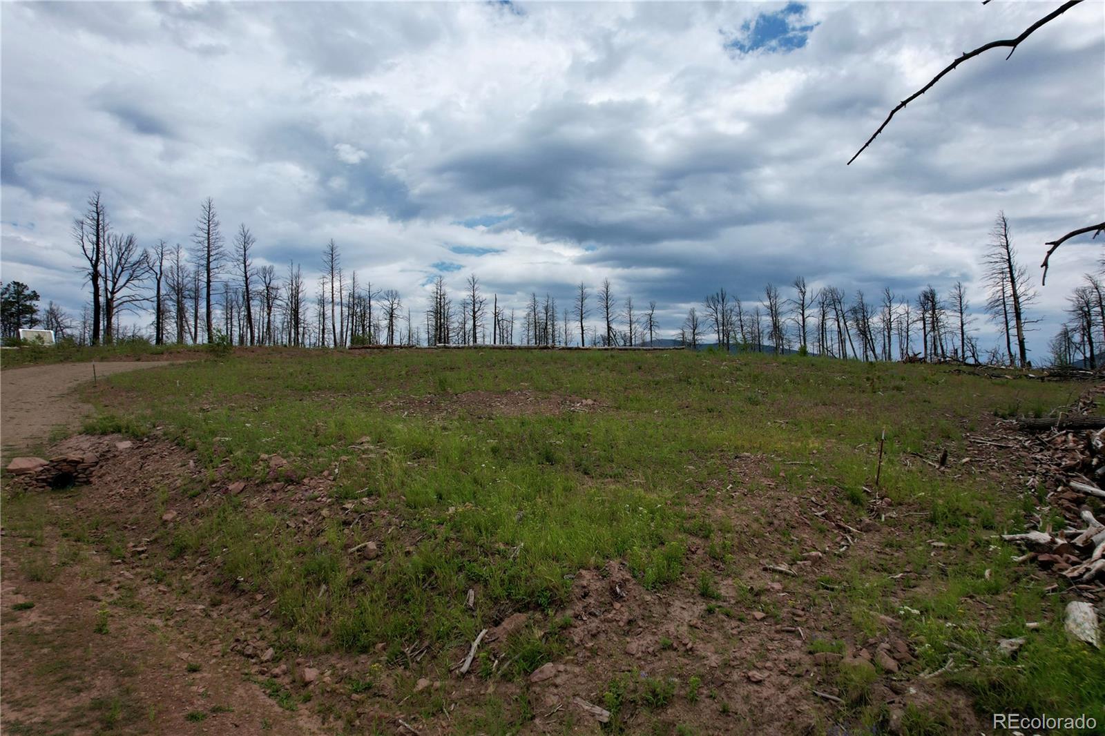 2198 Sigler Drive, Fort Garland, CO 81133, ,Land,For Sale,Sigler,REC8174736