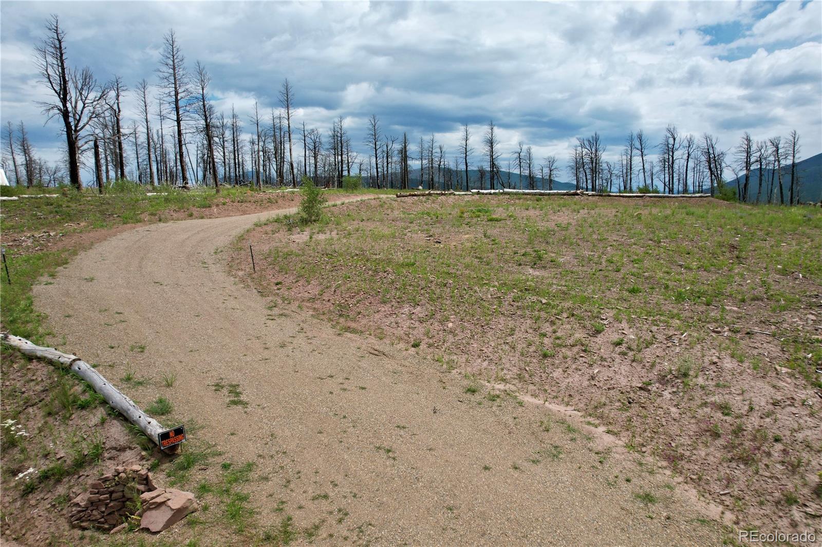 2198 Sigler Drive, Fort Garland, CO 81133, ,Land,For Sale,Sigler,REC8174736