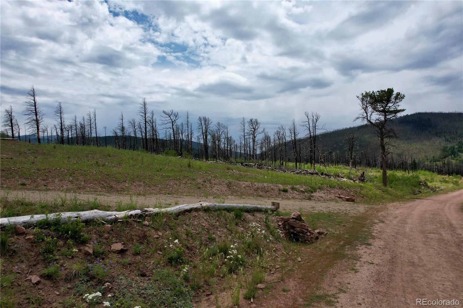 2198 Sigler Drive, Fort Garland, CO 81133, ,Land,For Sale,Sigler,REC8174736