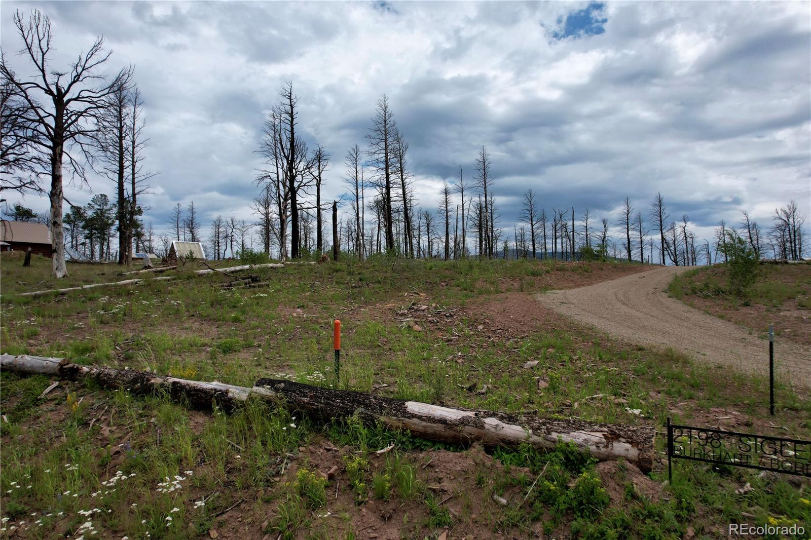 2198 Sigler Drive, Fort Garland, CO 81133, ,Land,For Sale,Sigler,REC8174736