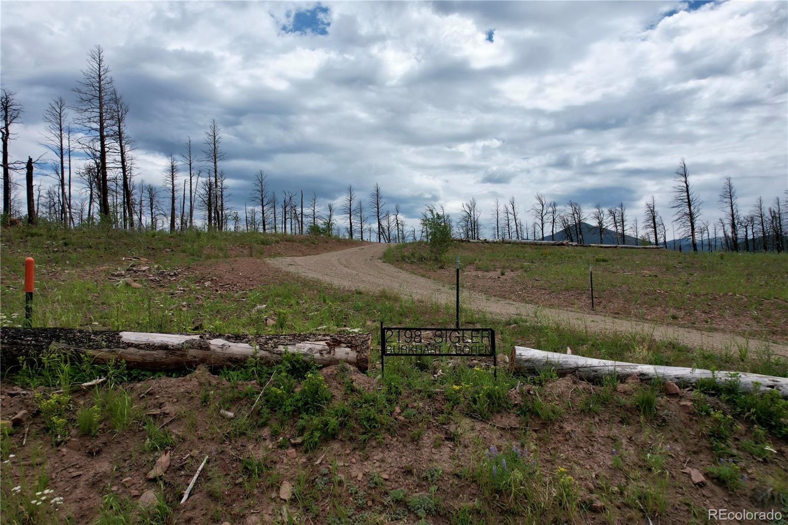 2198 Sigler Drive, Fort Garland, CO 81133, ,Land,For Sale,Sigler,REC8174736