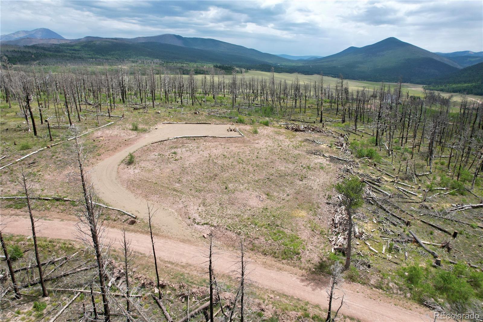 2198 Sigler Drive, Fort Garland, CO 81133, ,Land,For Sale,Sigler,REC8174736