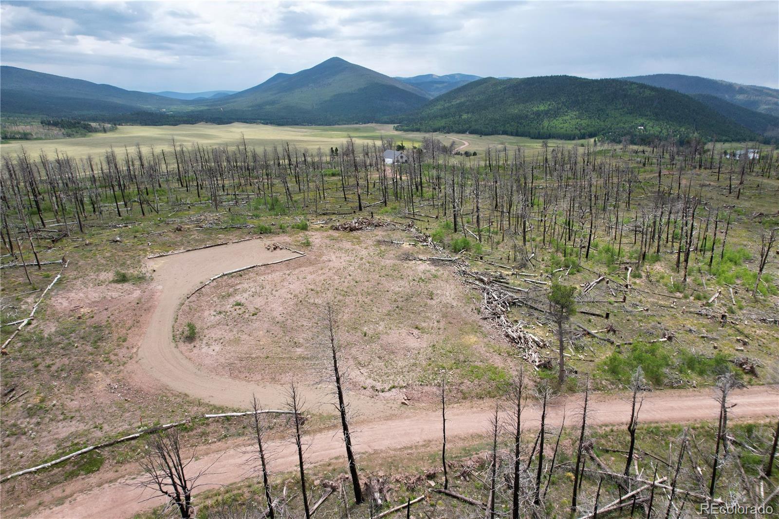 2198 Sigler Drive, Fort Garland, CO 81133, ,Land,For Sale,Sigler,REC8174736