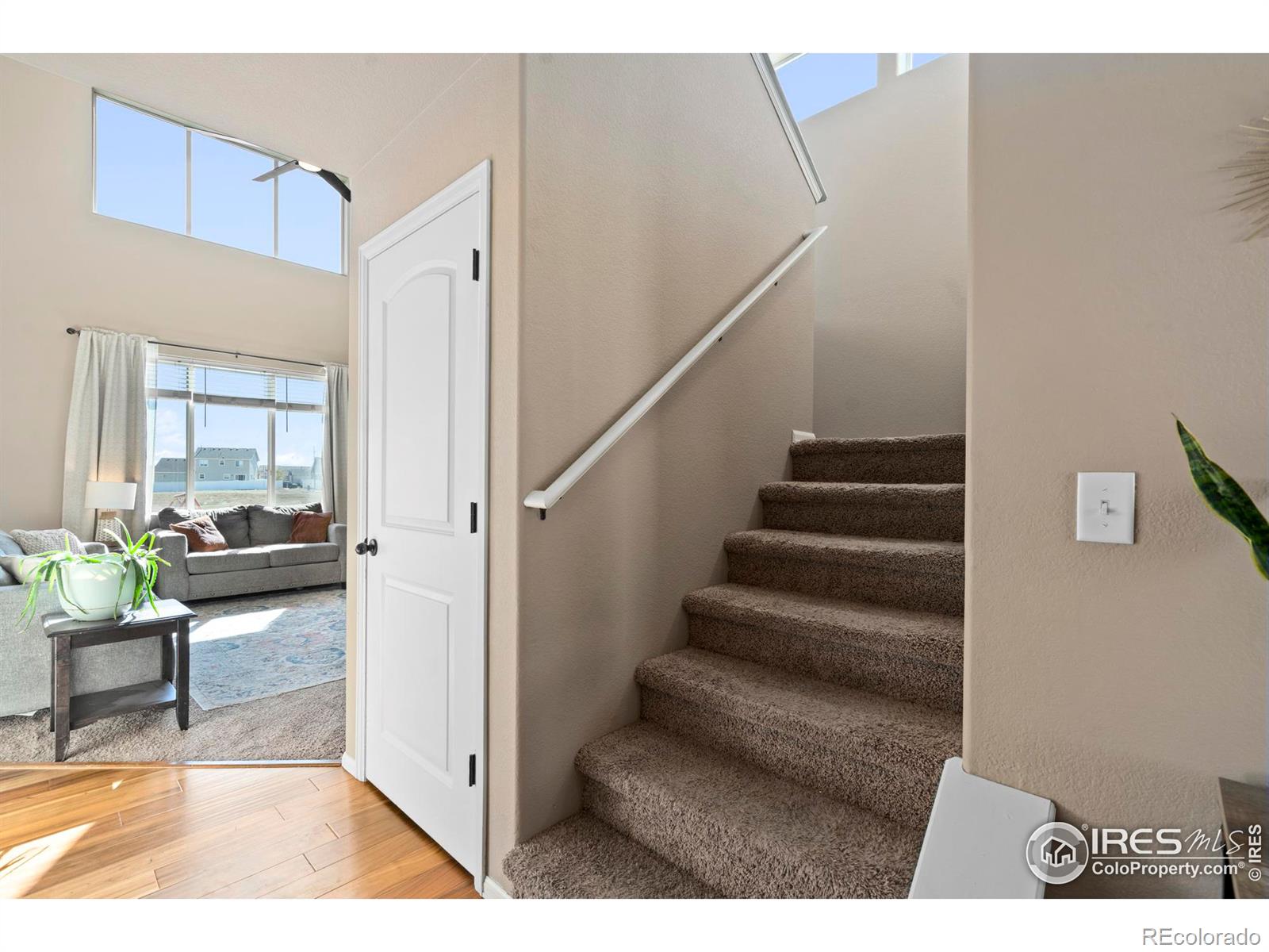 4587 Woodlake Lane, Wellington, CO 80549, 4 Bedrooms Bedrooms, ,4 BathroomsBathrooms,Residential,For Sale,Woodlake,RECIR1015584