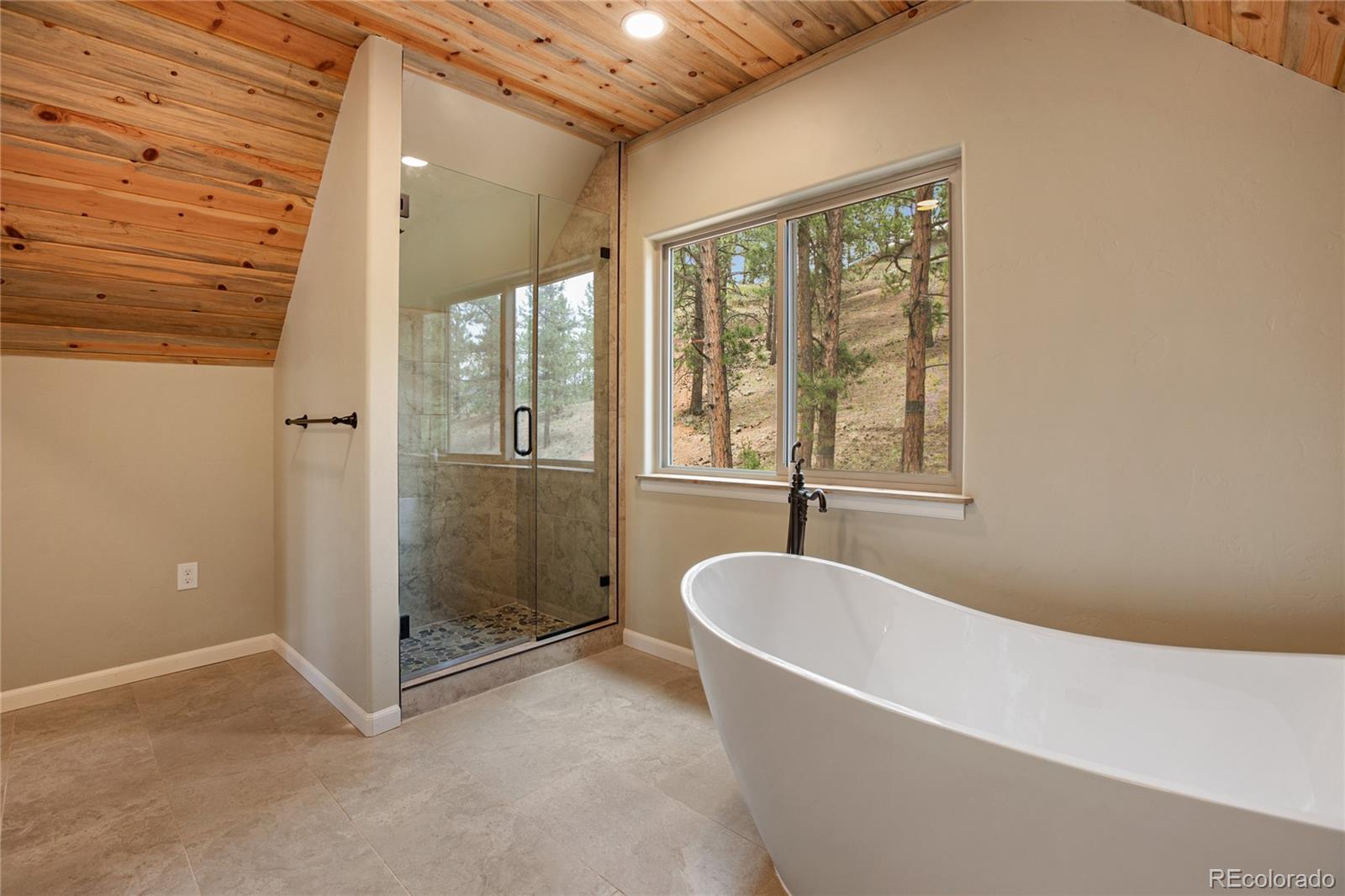 5100 County Road 1, Cripple Creek, CO 80813, 3 Bedrooms Bedrooms, ,3 BathroomsBathrooms,Residential,For Sale,County Road 1,REC1536664