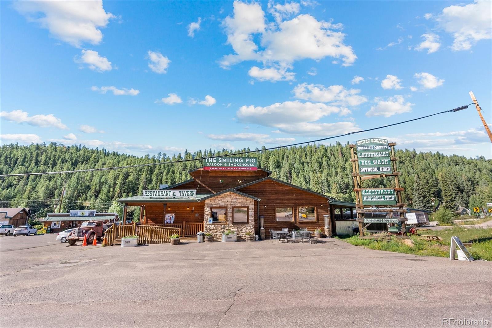 1 County Road 68, Bailey, CO 80421, ,Commercial,For Sale,County Road 68,REC2057731