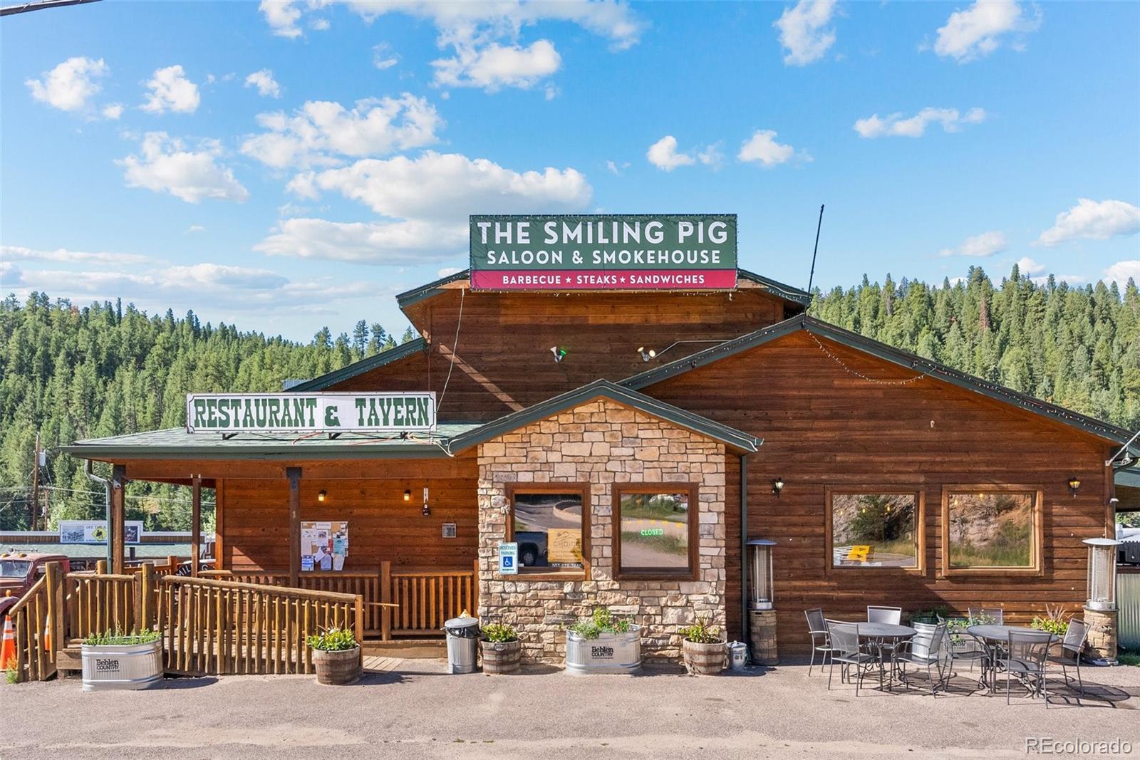 1 County Road 68, Bailey, CO 80421, ,Commercial,For Sale,County Road 68,REC2057731