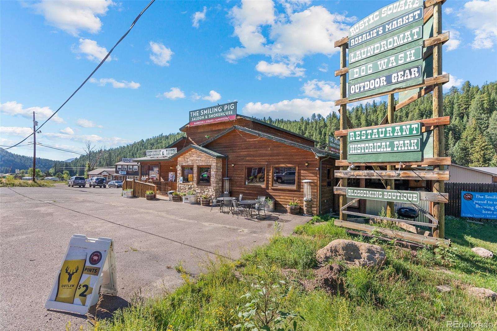 1 County Road 68, Bailey, CO 80421, ,Commercial,For Sale,County Road 68,REC2057731