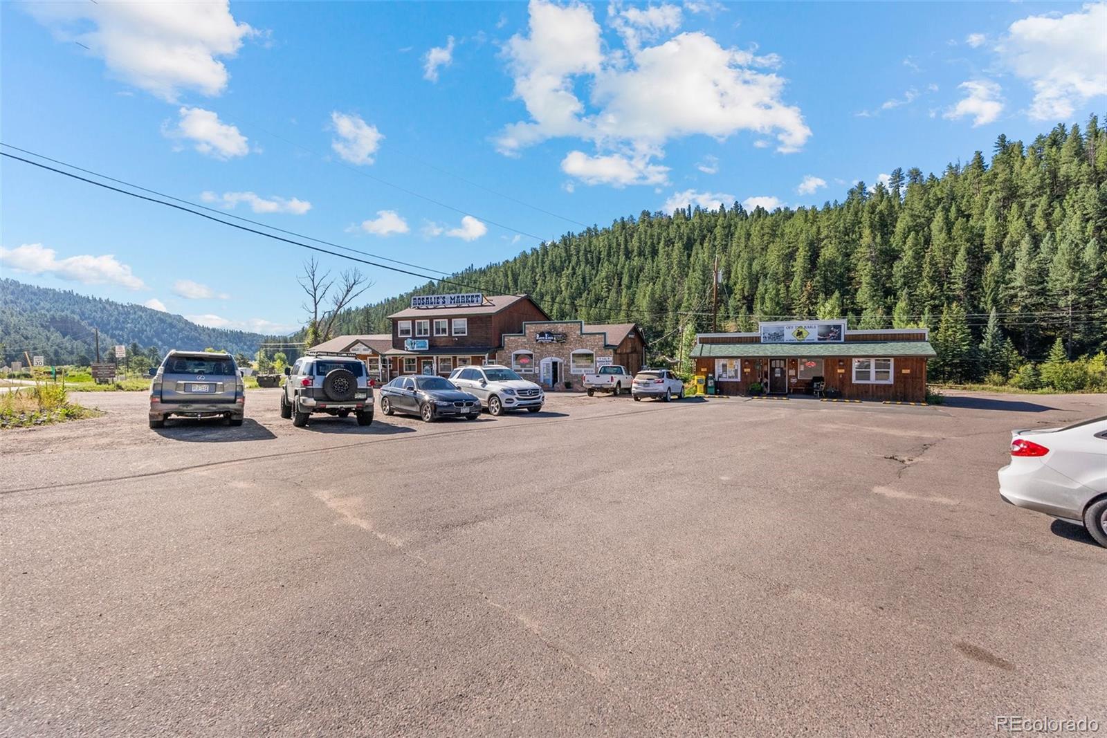 1 County Road 68, Bailey, CO 80421, ,Commercial,For Sale,County Road 68,REC2057731