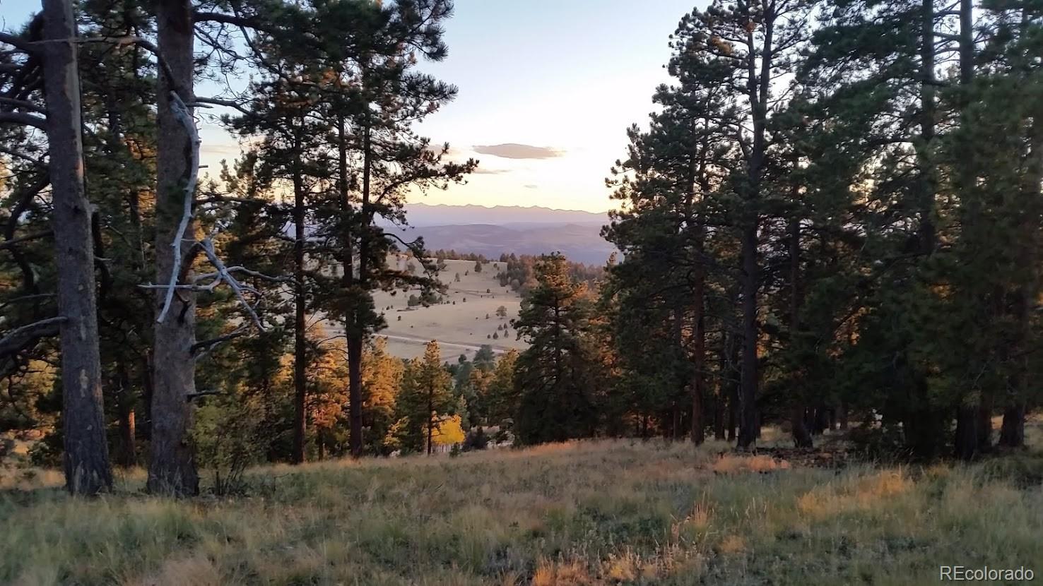 952 Penrose Circle, Cripple Creek, CO 80813, ,Land,For Sale,Penrose,REC8672126