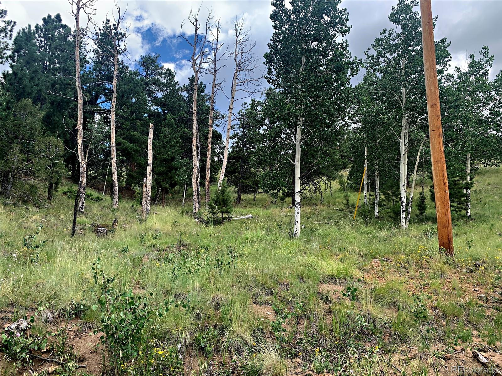 952 Penrose Circle, Cripple Creek, CO 80813, ,Land,For Sale,Penrose,REC8672126