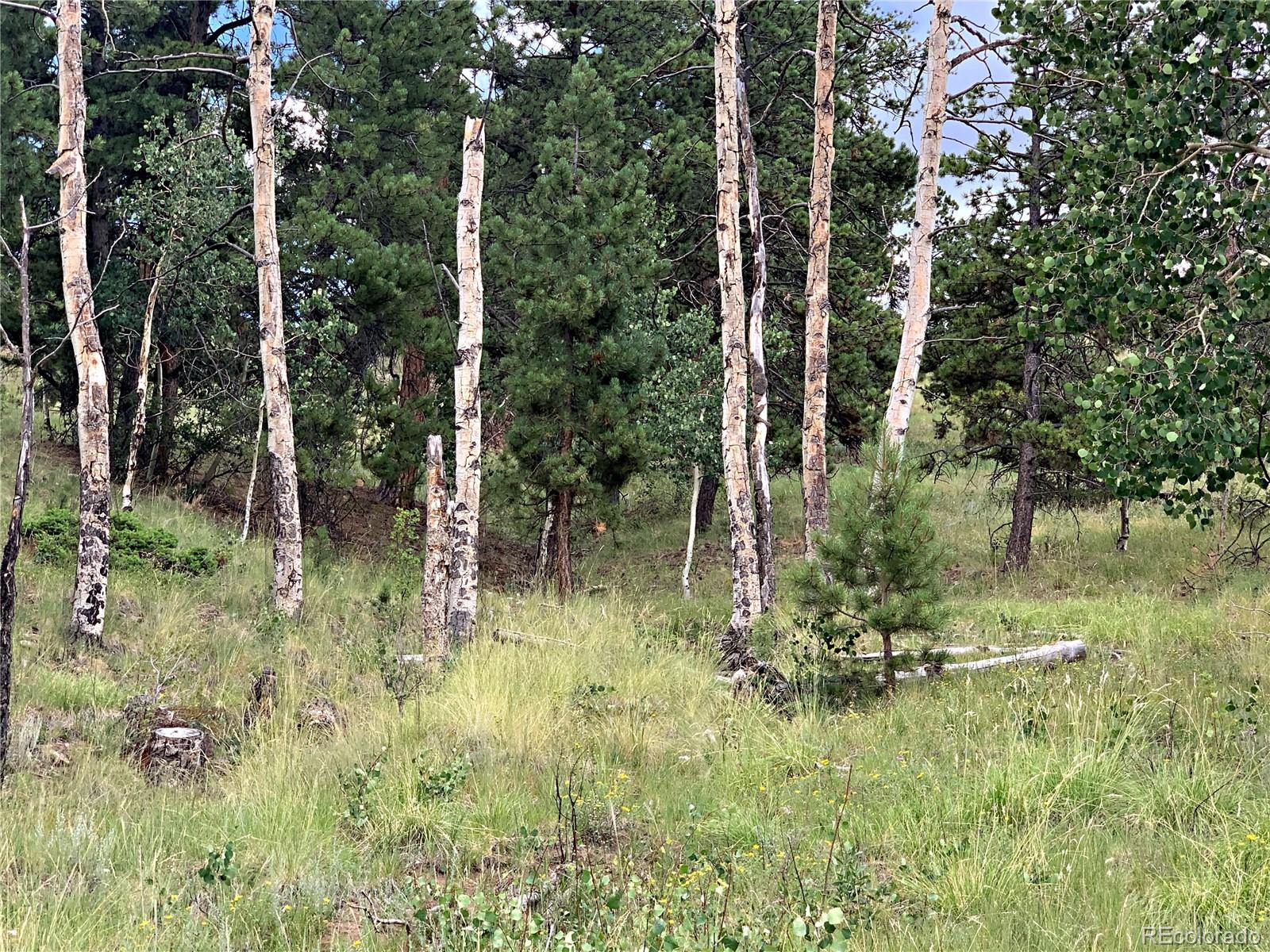 952 Penrose Circle, Cripple Creek, CO 80813, ,Land,For Sale,Penrose,REC8672126