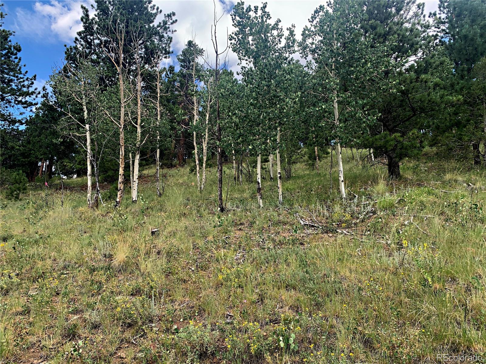 952 Penrose Circle, Cripple Creek, CO 80813, ,Land,For Sale,Penrose,REC8672126