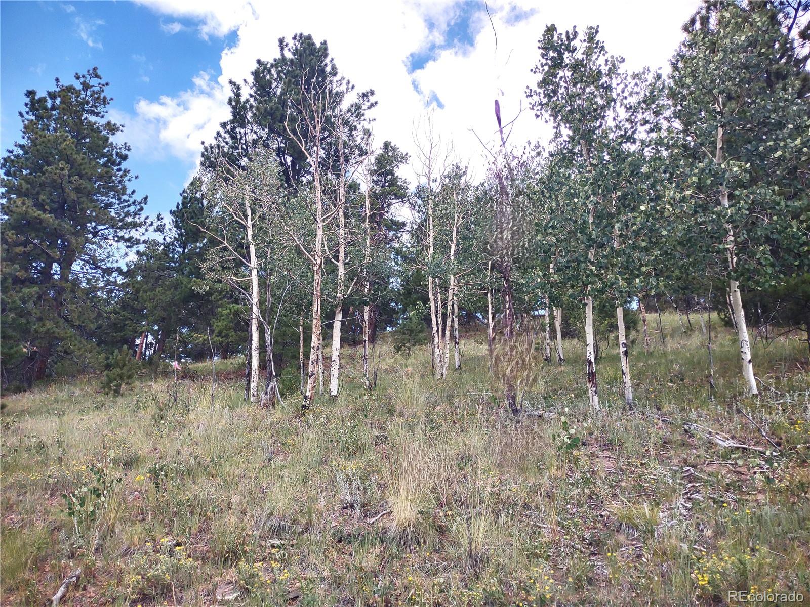952 Penrose Circle, Cripple Creek, CO 80813, ,Land,For Sale,Penrose,REC8672126