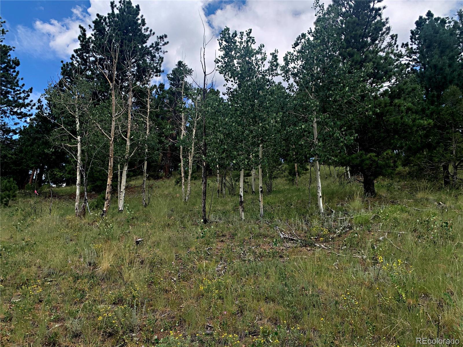 952 Penrose Circle, Cripple Creek, CO 80813, ,Land,For Sale,Penrose,REC8672126