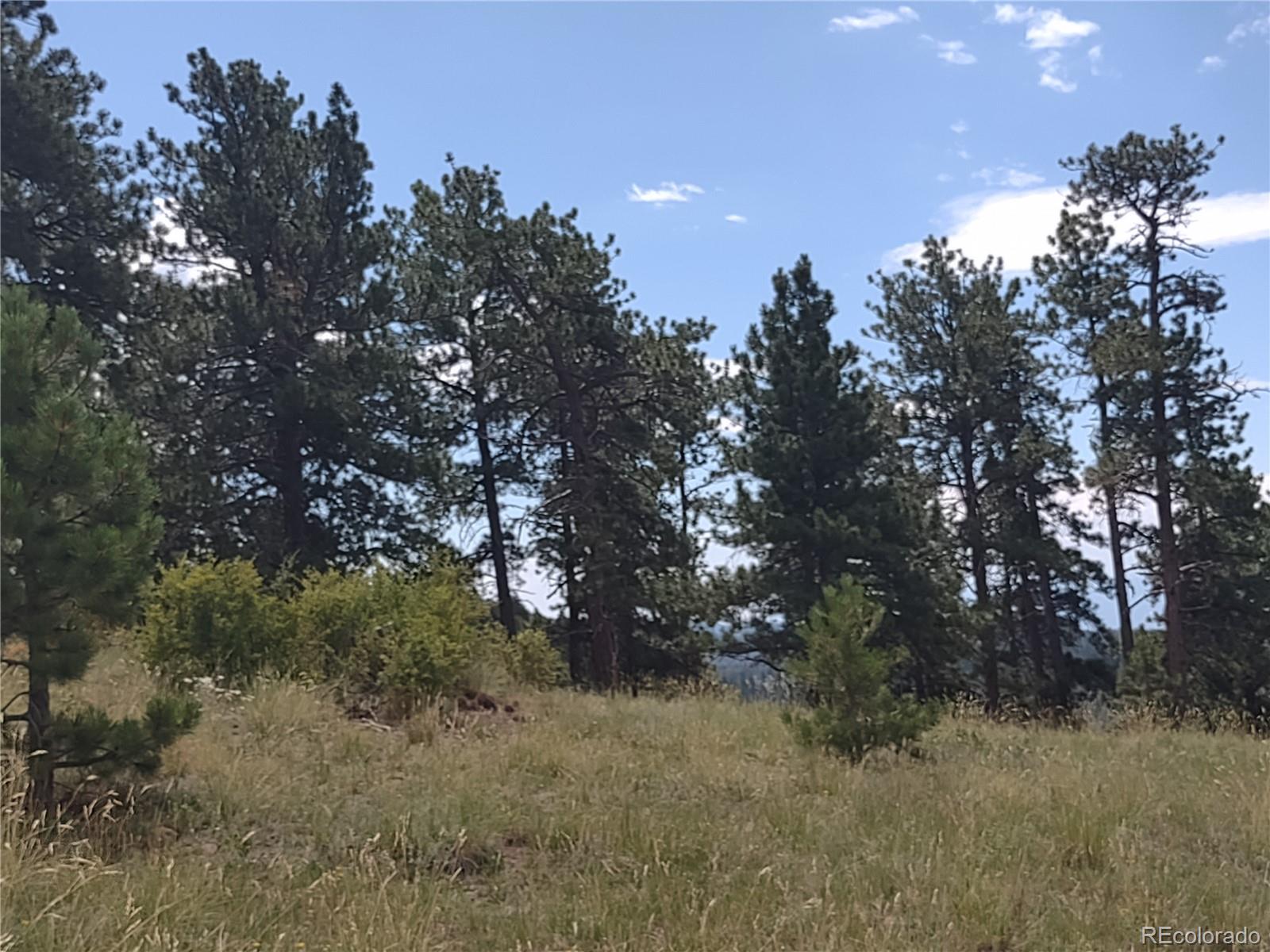 952 Penrose Circle, Cripple Creek, CO 80813, ,Land,For Sale,Penrose,REC8672126