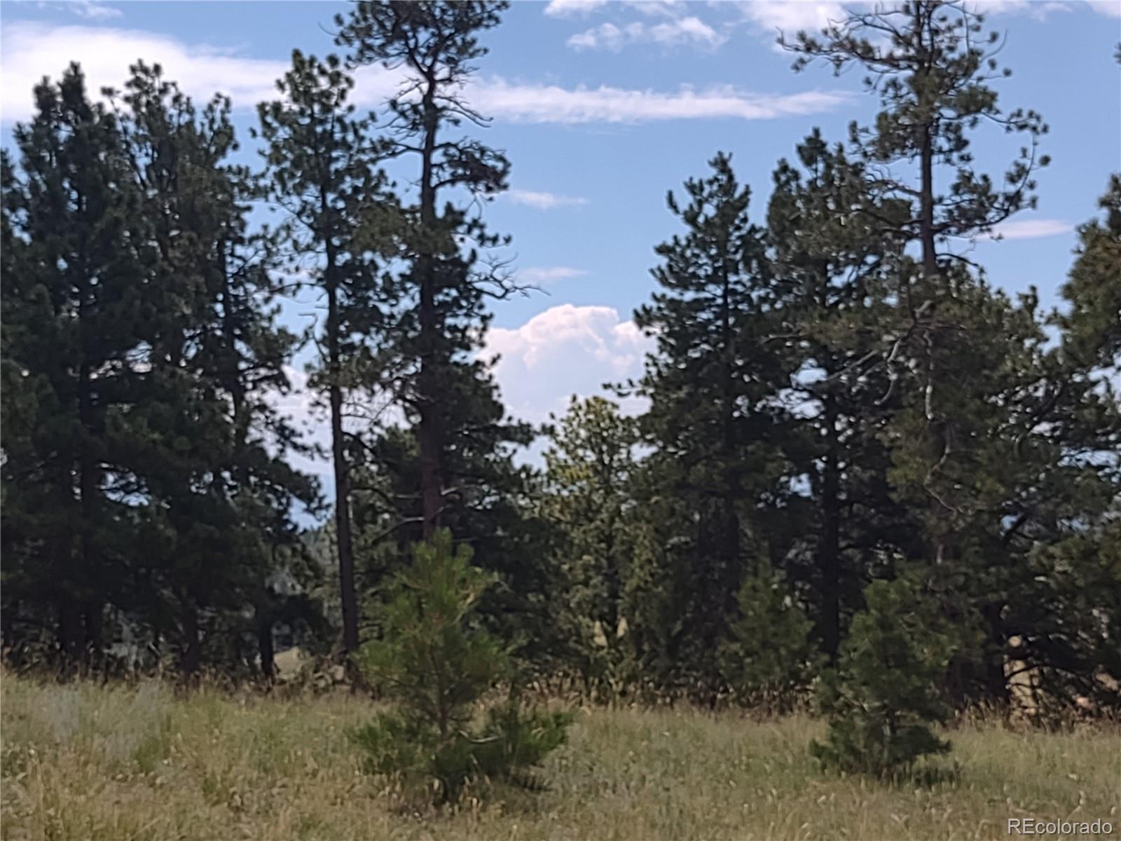 952 Penrose Circle, Cripple Creek, CO 80813, ,Land,For Sale,Penrose,REC8672126