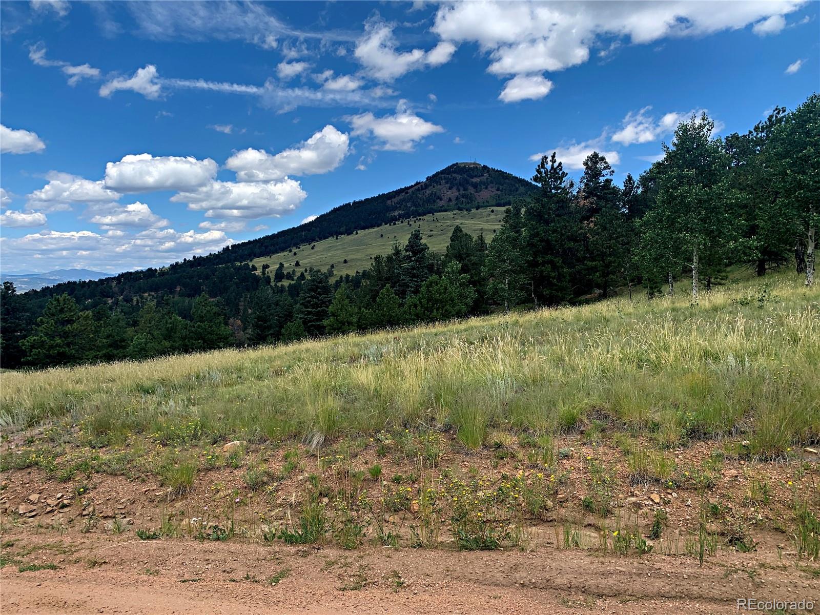 952 Penrose Circle, Cripple Creek, CO 80813, ,Land,For Sale,Penrose,REC8672126