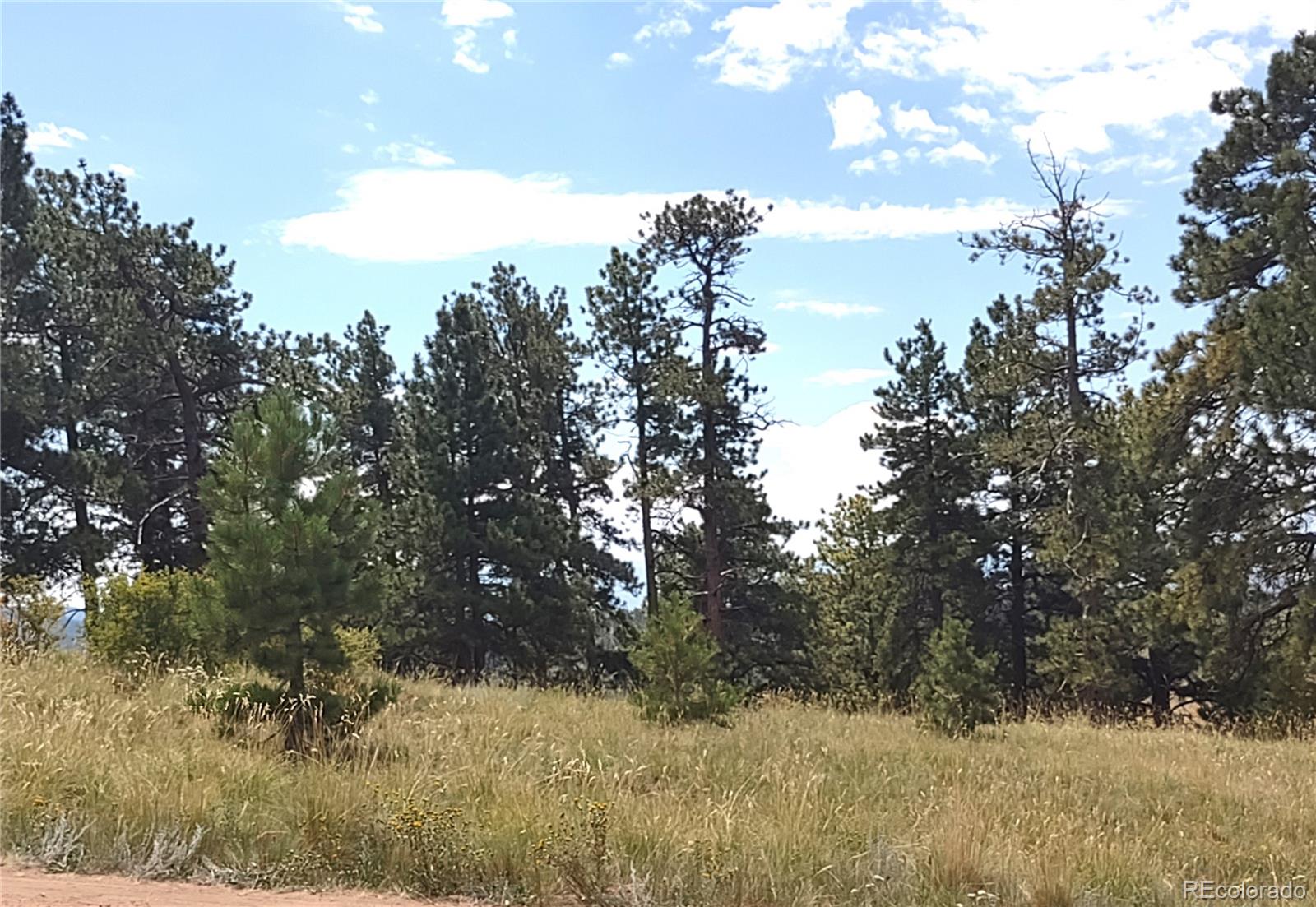 952 Penrose Circle, Cripple Creek, CO 80813, ,Land,For Sale,Penrose,REC8672126