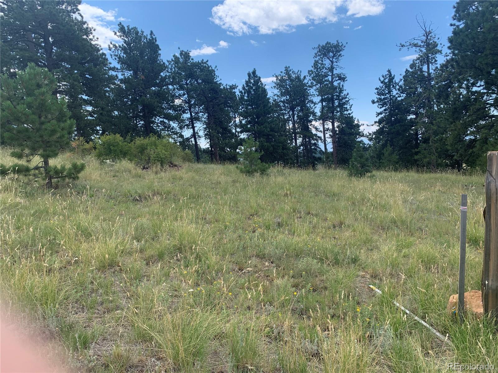 952 Penrose Circle, Cripple Creek, CO 80813, ,Land,For Sale,Penrose,REC8672126