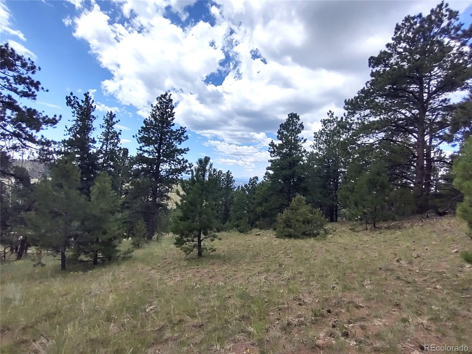 952 Penrose Circle, Cripple Creek, CO 80813, ,Land,For Sale,Penrose,REC8672126