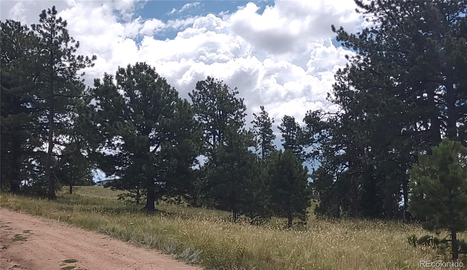952 Penrose Circle, Cripple Creek, CO 80813, ,Land,For Sale,Penrose,REC8672126