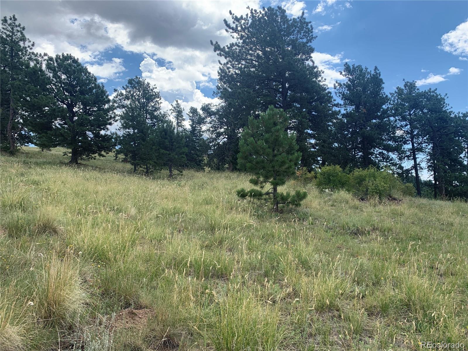 952 Penrose Circle, Cripple Creek, CO 80813, ,Land,For Sale,Penrose,REC8672126