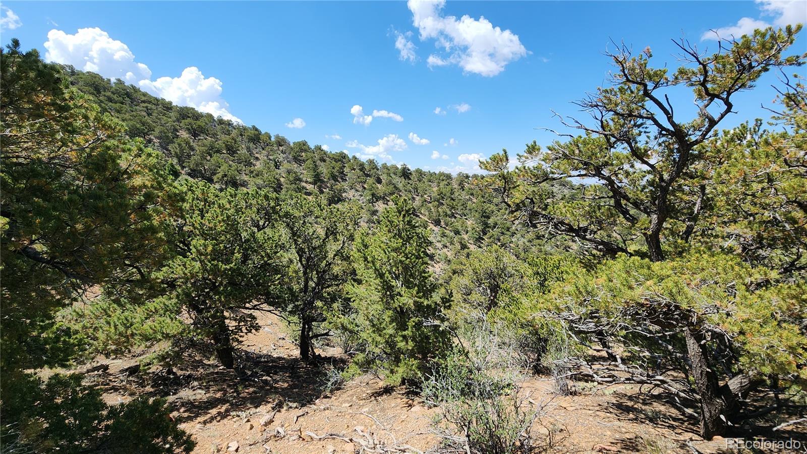 5039 Mamouche Road, Fort Garland, CO 81133, ,Land,For Sale,Mamouche,REC9818790