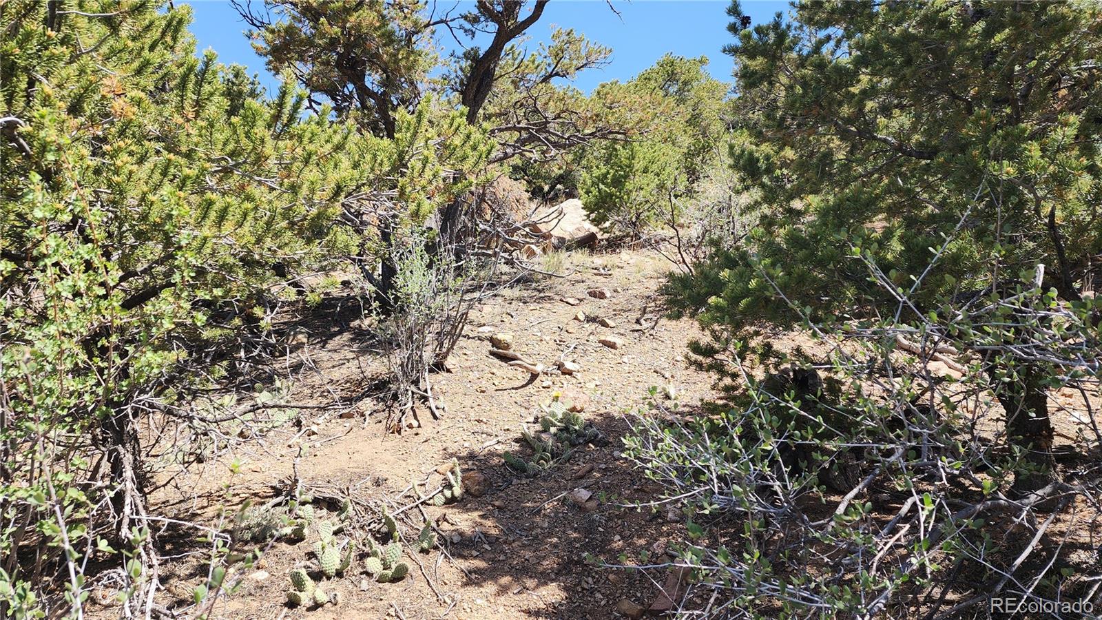 5039 Mamouche Road, Fort Garland, CO 81133, ,Land,For Sale,Mamouche,REC9818790