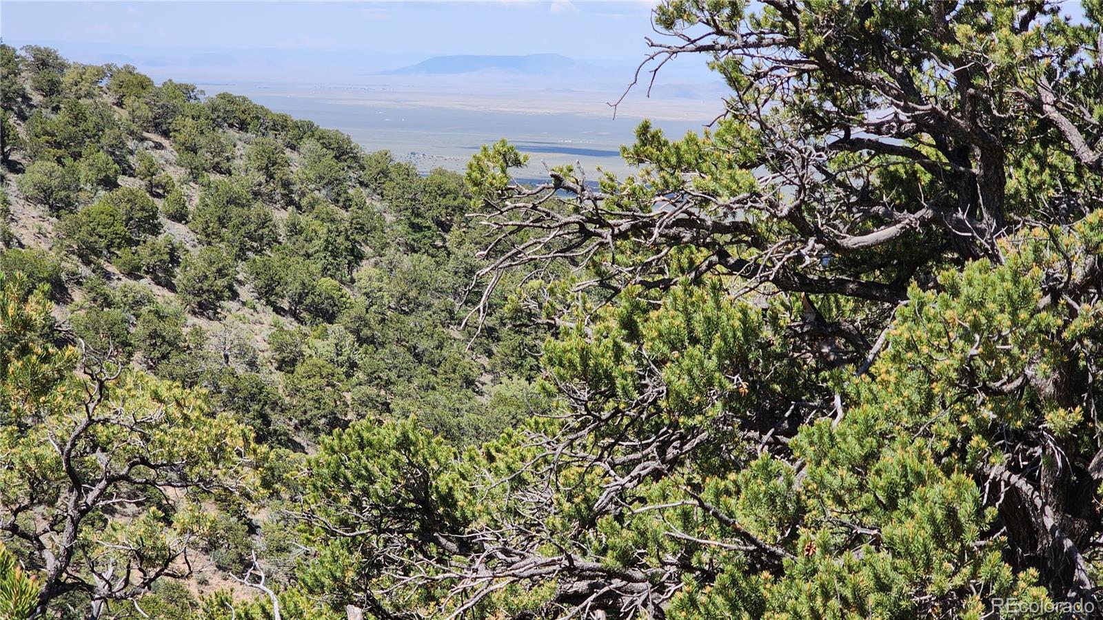 5039 Mamouche Road, Fort Garland, CO 81133, ,Land,For Sale,Mamouche,REC9818790
