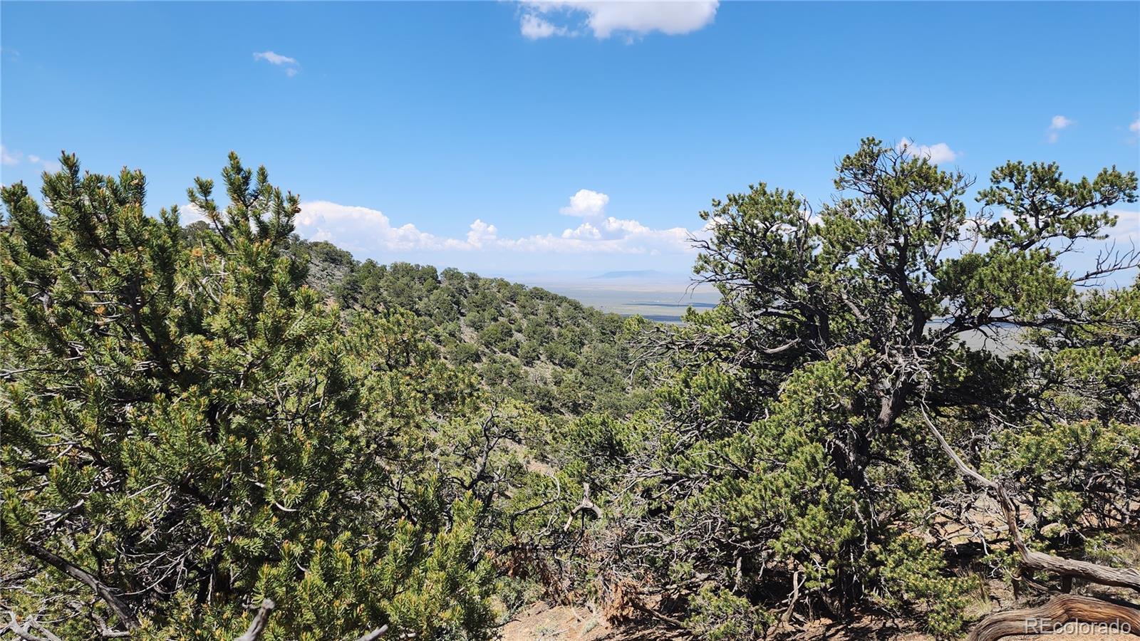 5039 Mamouche Road, Fort Garland, CO 81133, ,Land,For Sale,Mamouche,REC9818790