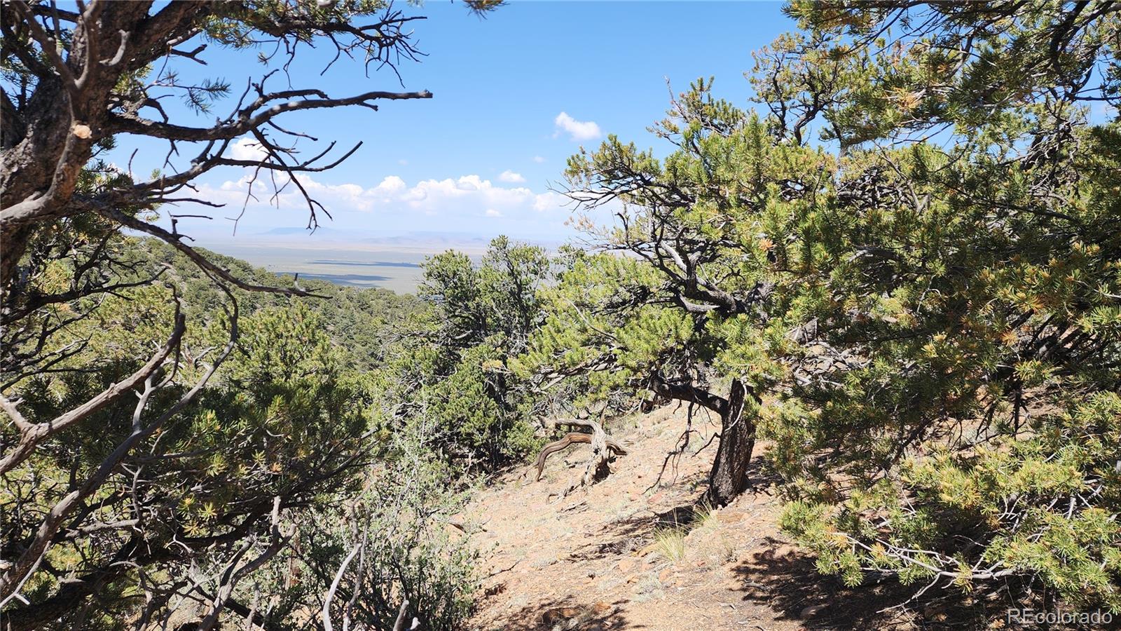 5039 Mamouche Road, Fort Garland, CO 81133, ,Land,For Sale,Mamouche,REC9818790