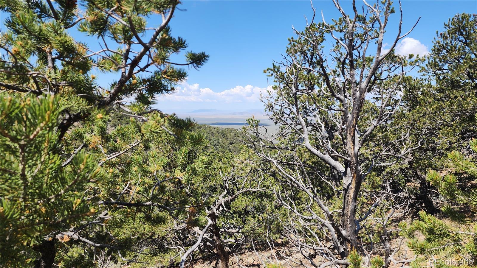 5039 Mamouche Road, Fort Garland, CO 81133, ,Land,For Sale,Mamouche,REC9818790