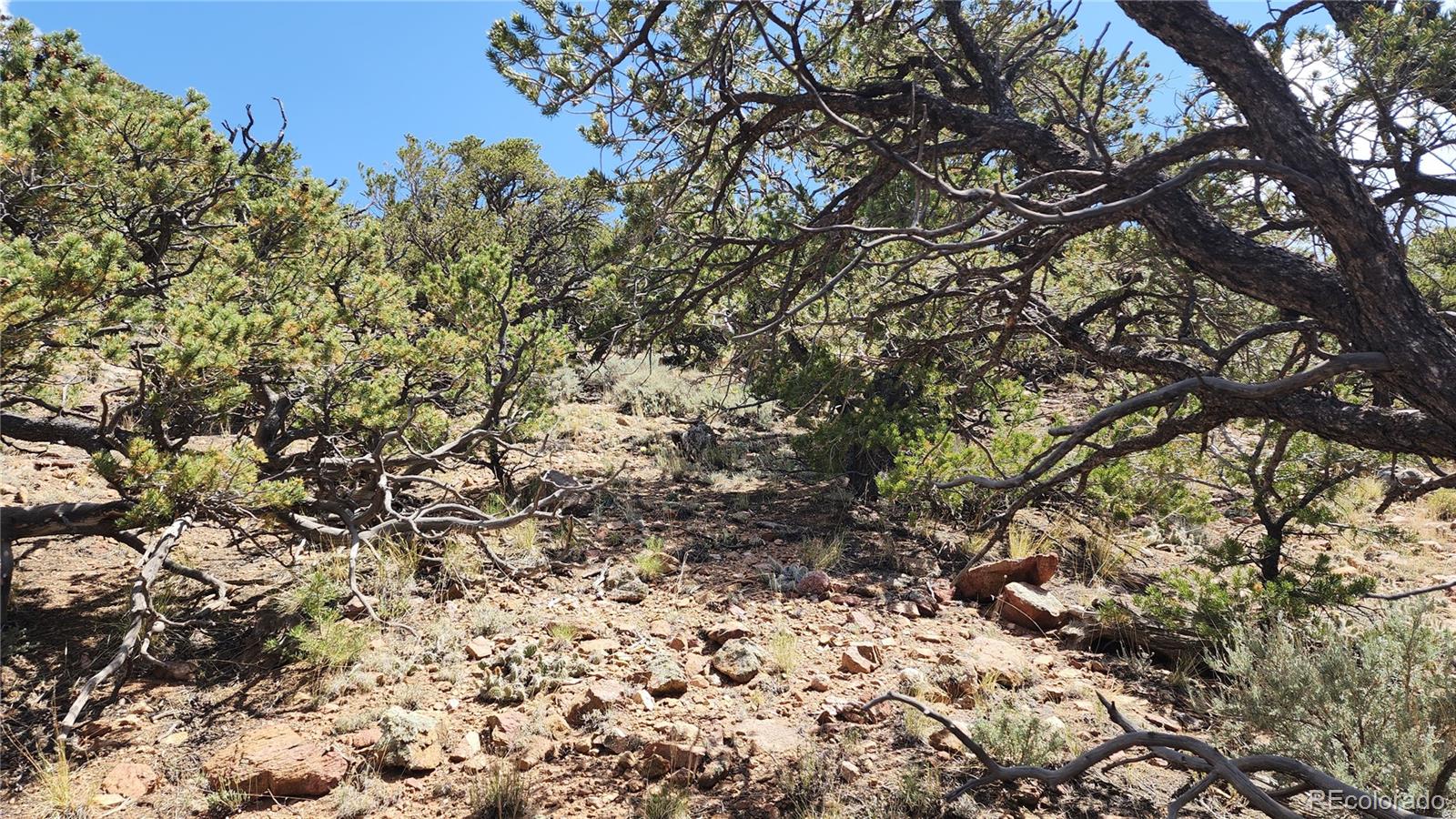 5039 Mamouche Road, Fort Garland, CO 81133, ,Land,For Sale,Mamouche,REC9818790