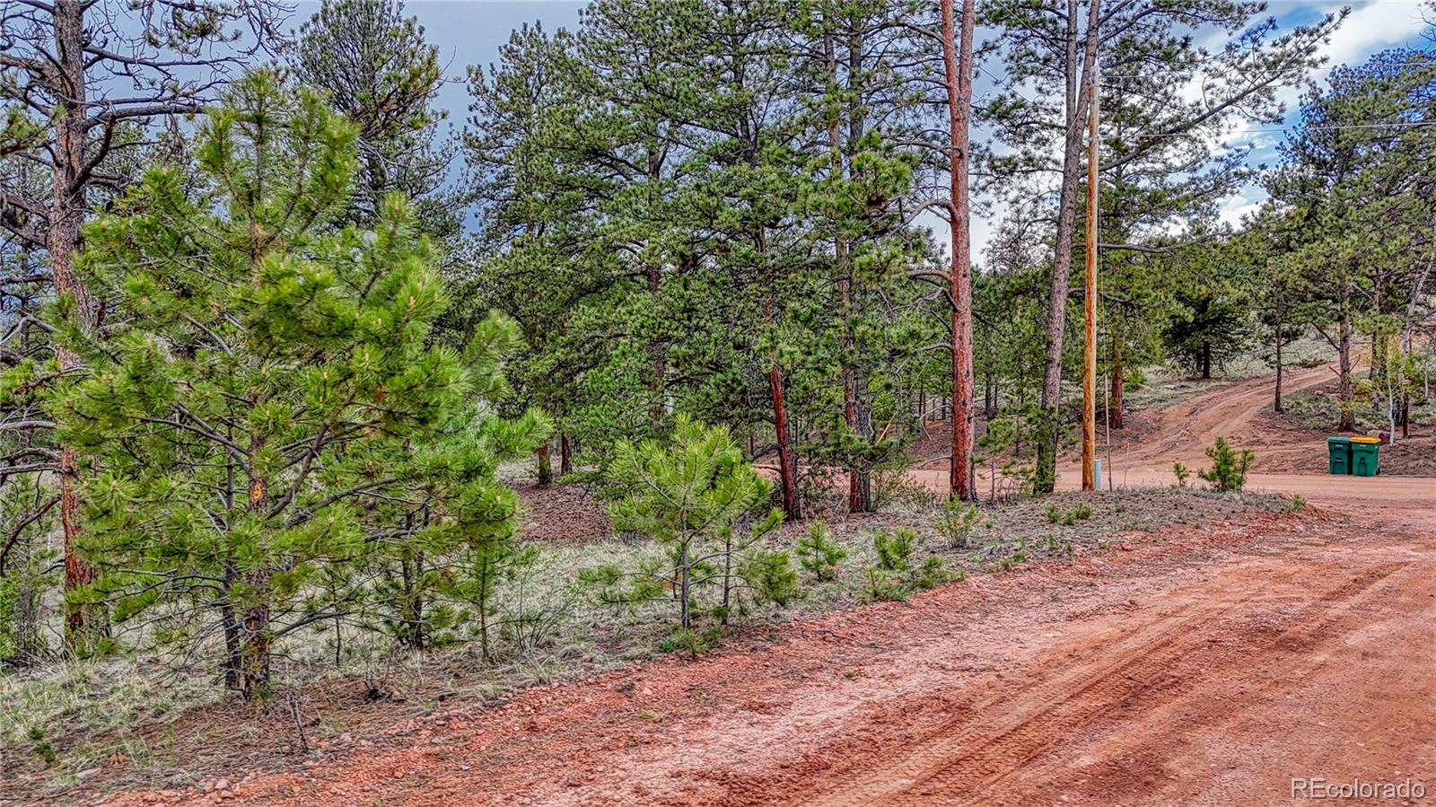 30 Shavano Way, Florissant, CO 80816, ,Land,For Sale,Shavano,REC7223345