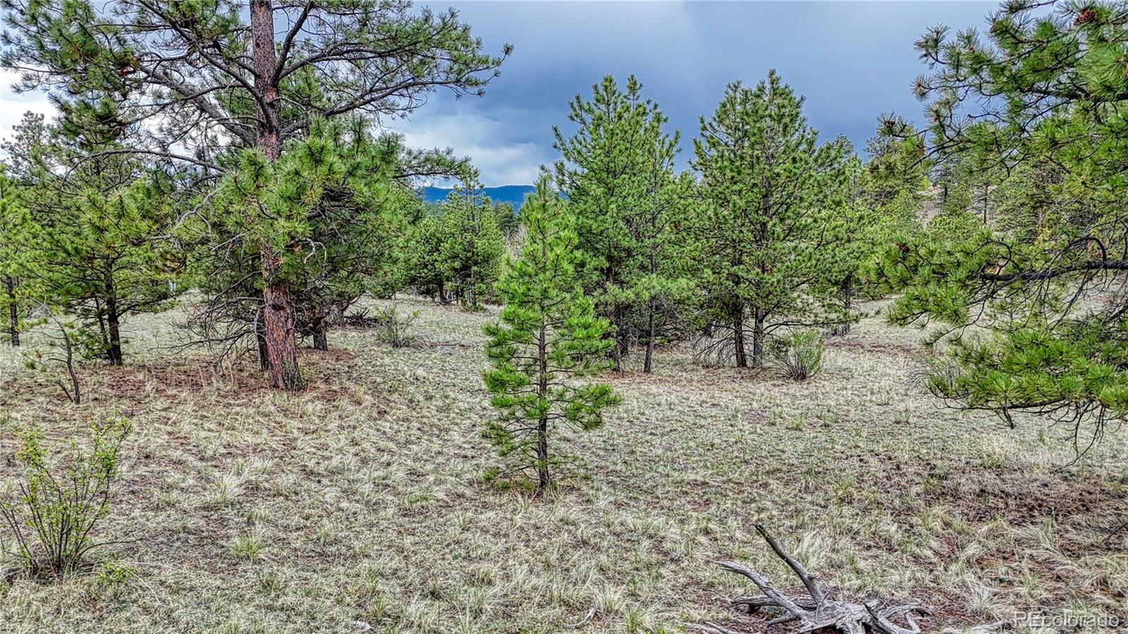 30 Shavano Way, Florissant, CO 80816, ,Land,For Sale,Shavano,REC7223345