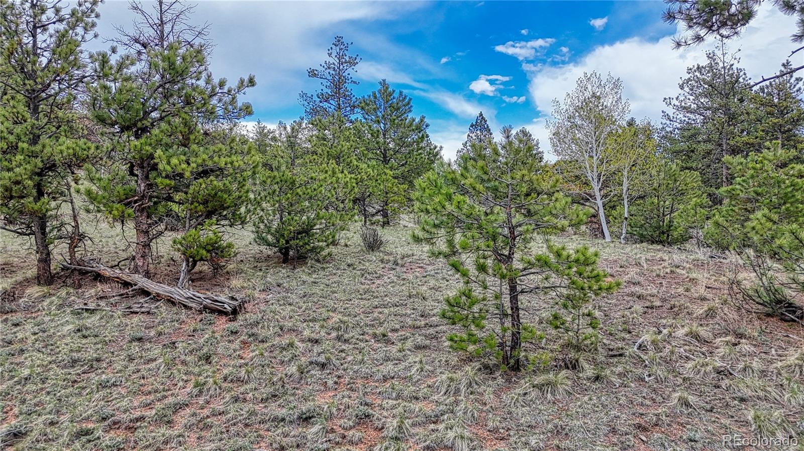 30 Shavano Way, Florissant, CO 80816, ,Land,For Sale,Shavano,REC7223345