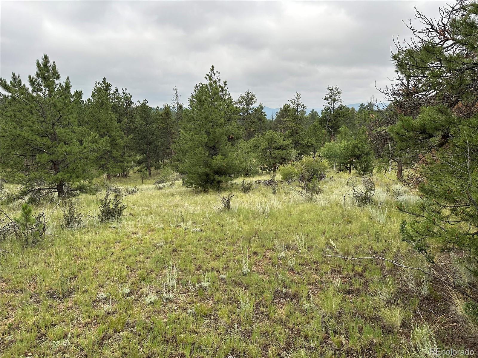 30 Shavano Way, Florissant, CO 80816, ,Land,For Sale,Shavano,REC7223345