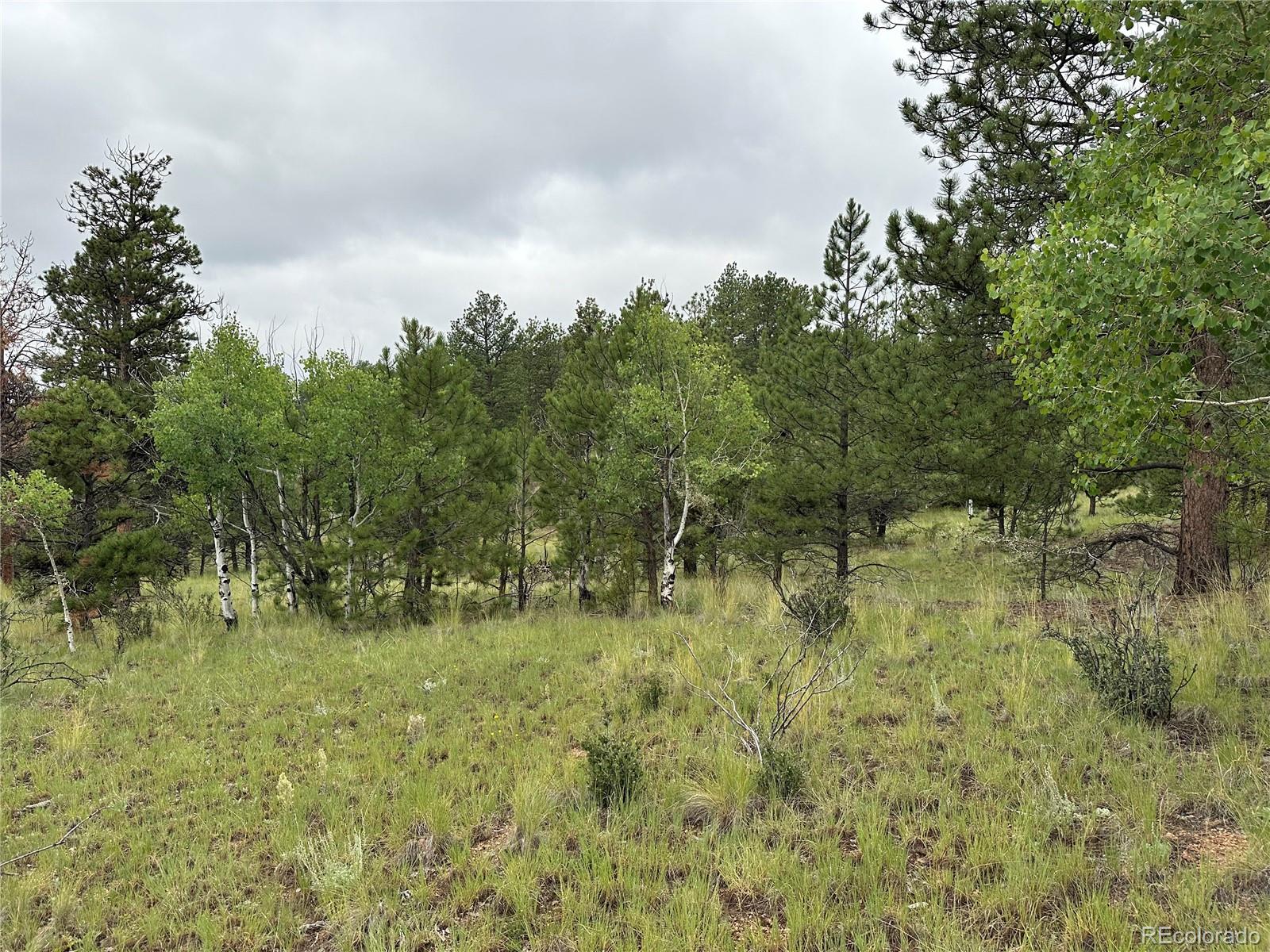30 Shavano Way, Florissant, CO 80816, ,Land,For Sale,Shavano,REC7223345