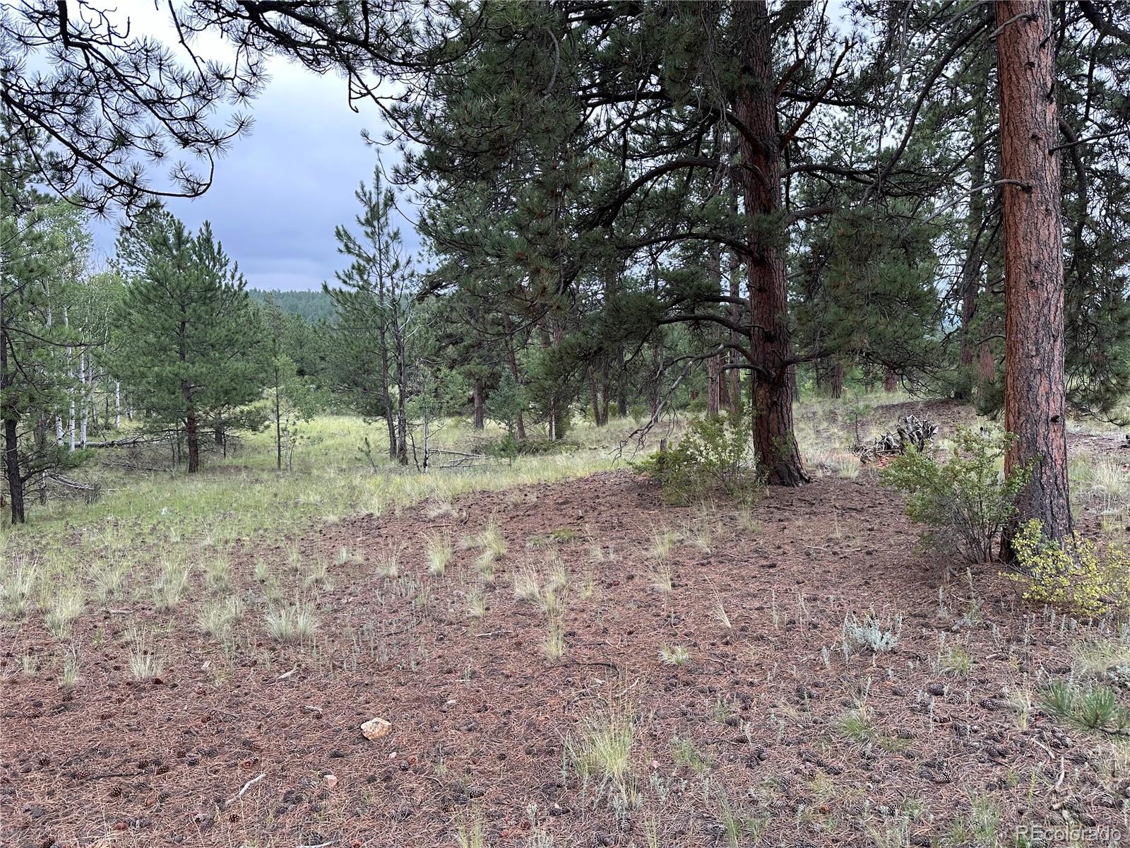 30 Shavano Way, Florissant, CO 80816, ,Land,For Sale,Shavano,REC7223345