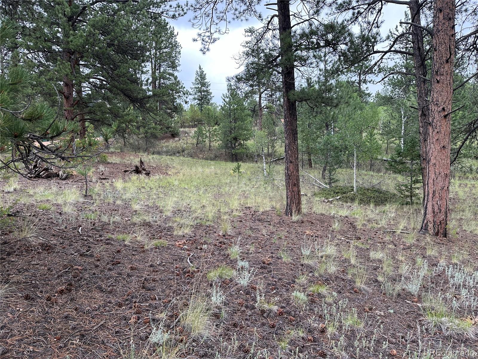 30 Shavano Way, Florissant, CO 80816, ,Land,For Sale,Shavano,REC7223345