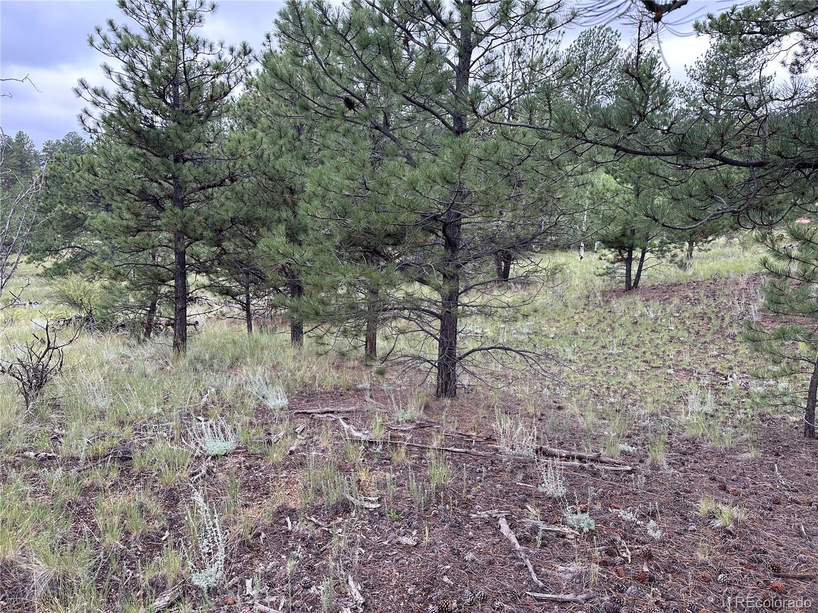 30 Shavano Way, Florissant, CO 80816, ,Land,For Sale,Shavano,REC7223345
